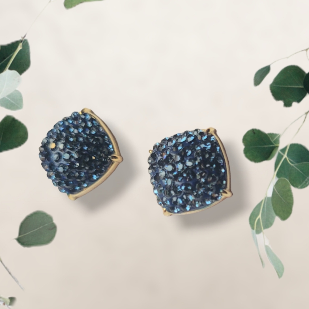 NWT Sterling Silver Gold Tone Stud Earrings